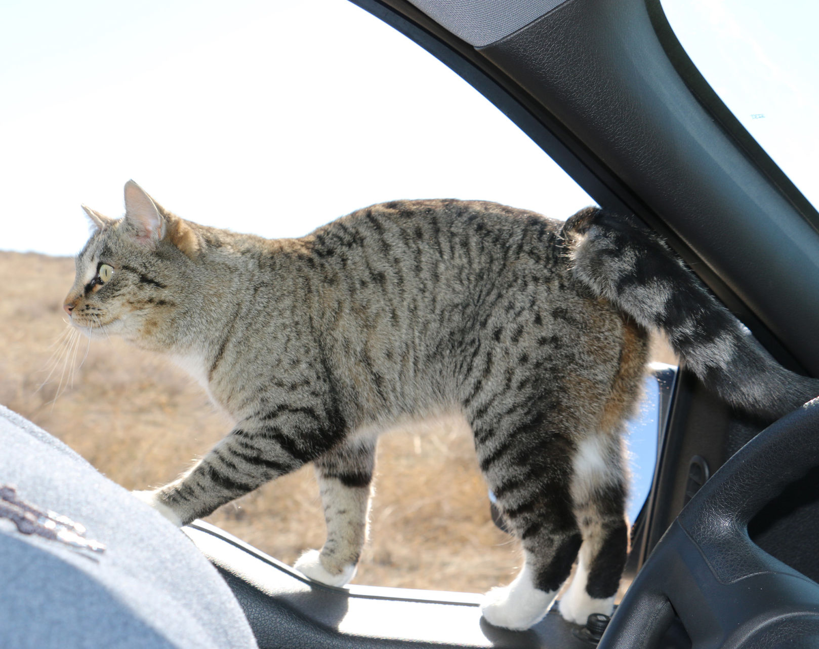 PHOTOS: Backroads